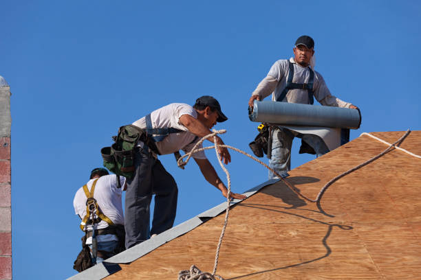 Best New Roof Installation  in Sandstone, MN