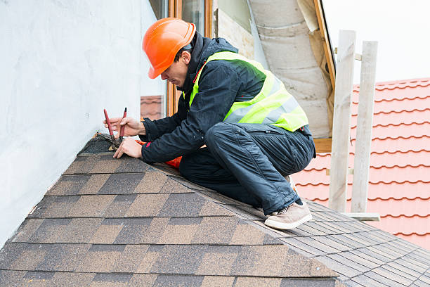 Best Roof Repair Services  in Sandstone, MN